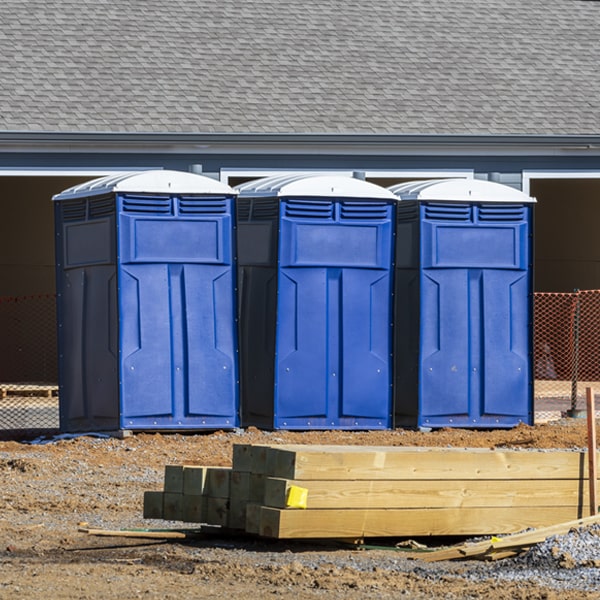 do you offer wheelchair accessible portable restrooms for rent in Tilden